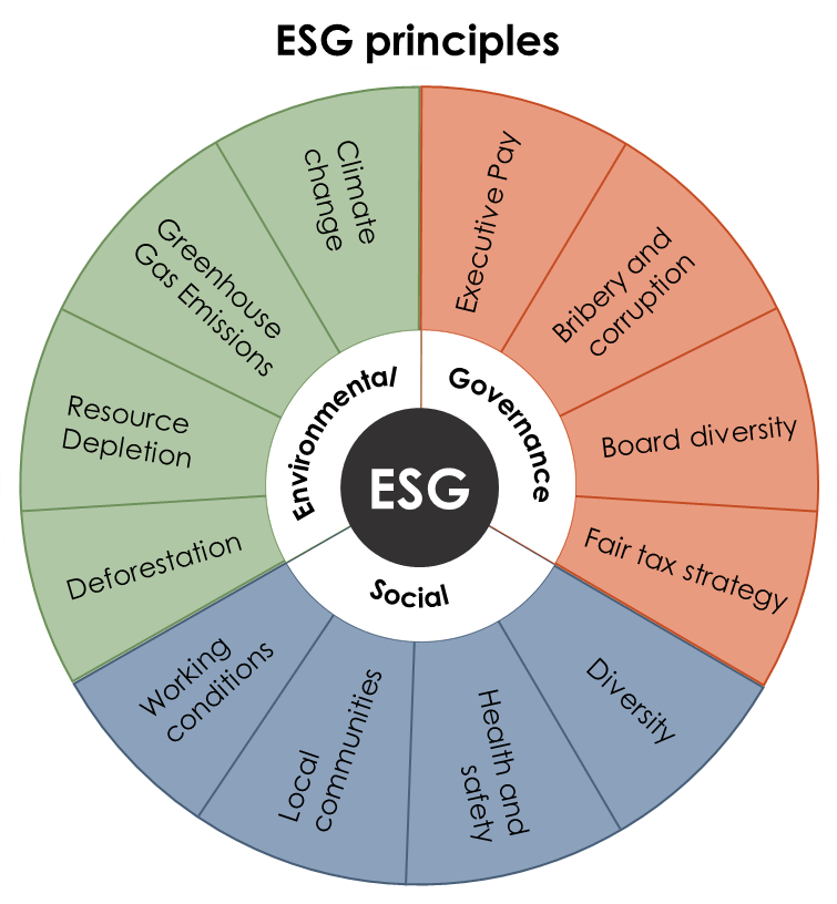 Esg Strategy