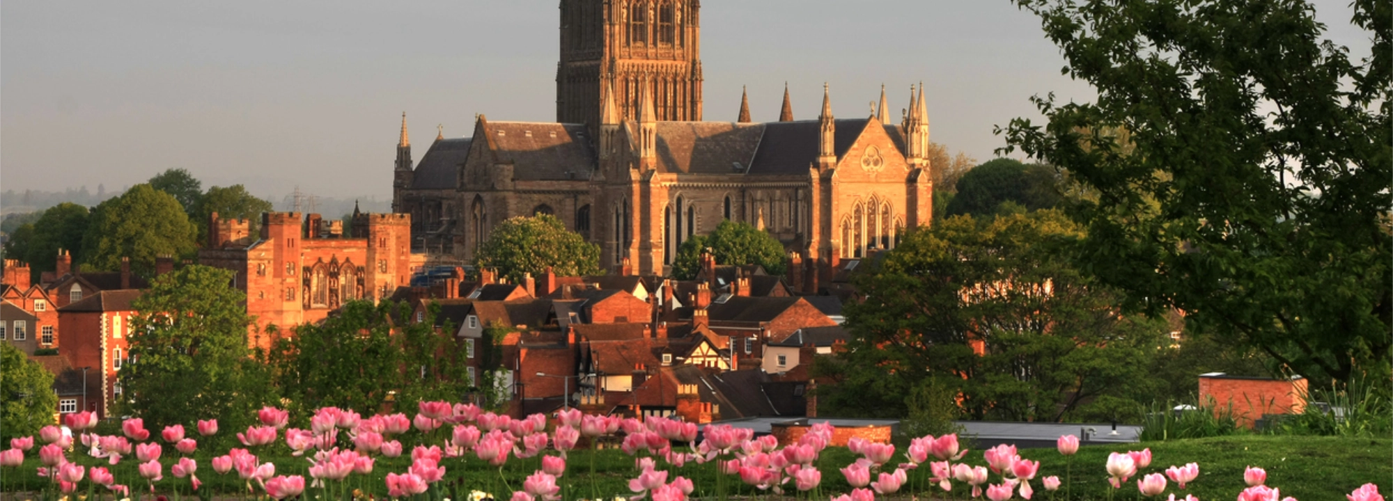 Worcester