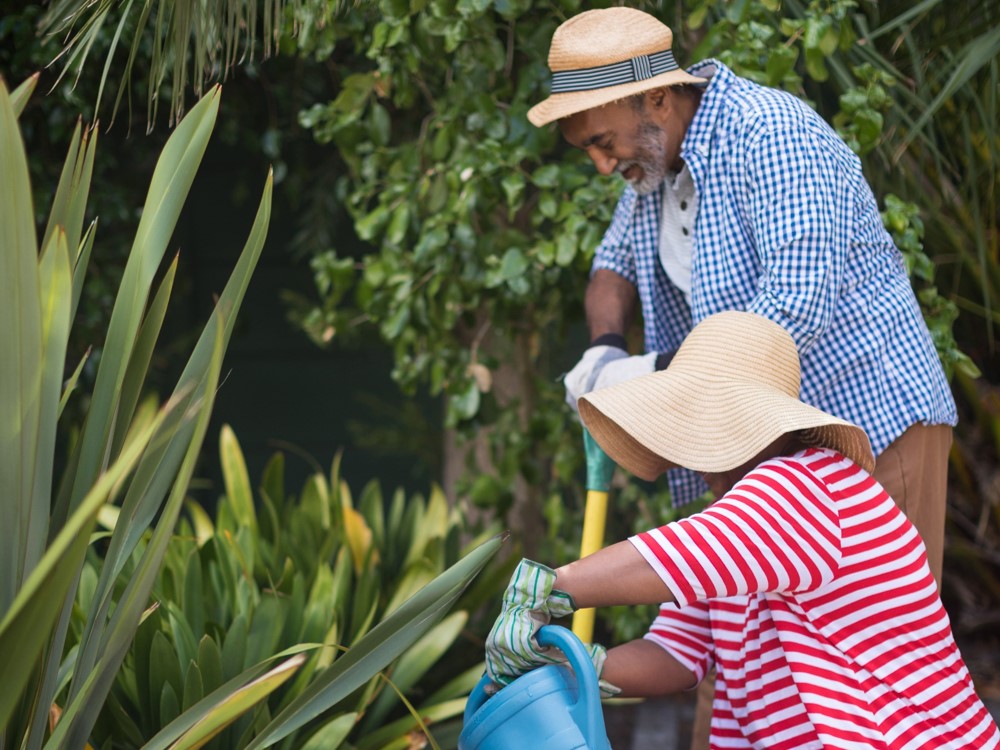 Defined Benefit Pension Transfer Guide