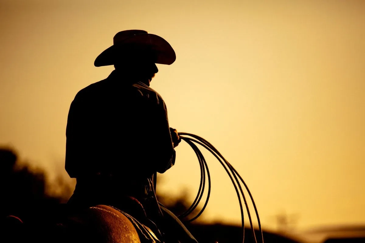 cowboy with lasso silhouette at small-town rodeo
