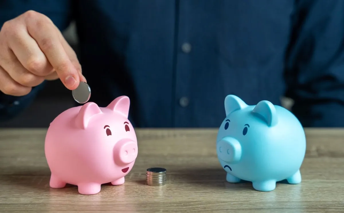 Blue and pink piggy banks. The blue piggy is jealous of other one that gets all coins