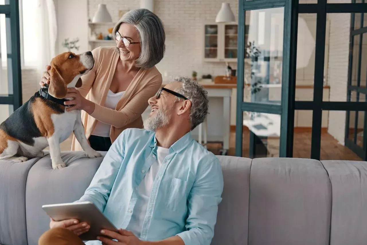 How much does independent financial advice cost?