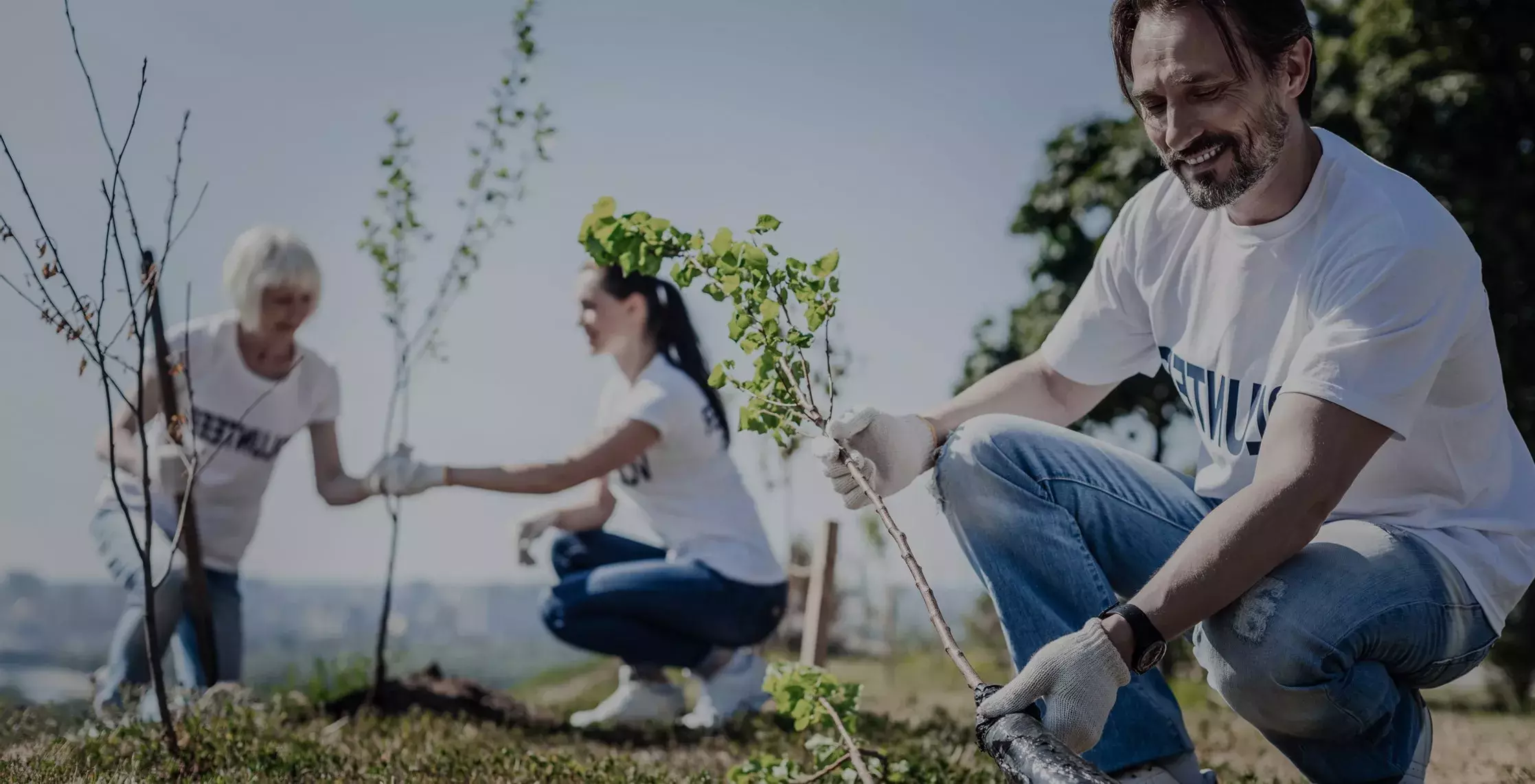 Review your charity’s financial performance