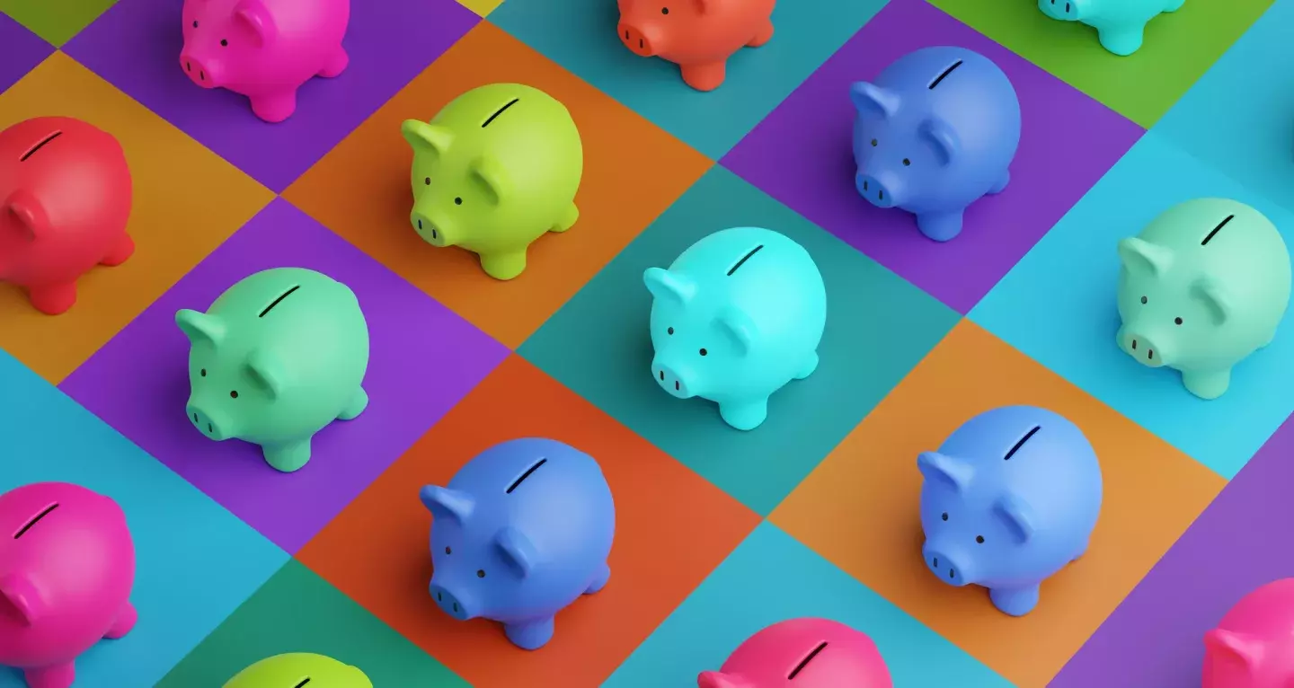One login, hundreds of savings accounts