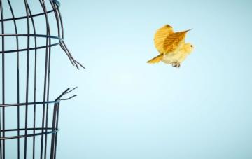 Webinar: How to escape the tax raid on your wealth