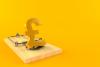 Pound currency with mousetrap