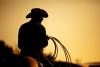 cowboy with lasso silhouette at small-town rodeo