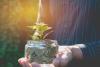 ESG Labelling - Are your investments more sustainable than you think?