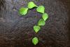 Awareness of ‘ESG’ investing is on the rise but appetite could be waning