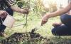 Best Investment for your Pension Pot
