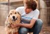 Gifting to charity in your will
